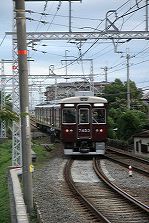 img_7341
