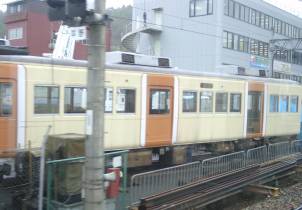 写真です
